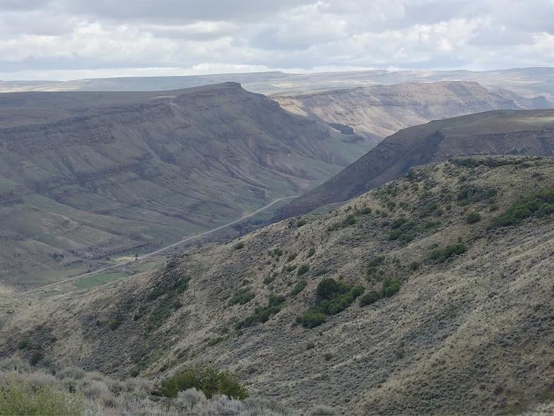 A picture a dry landscape with little shrubbery.