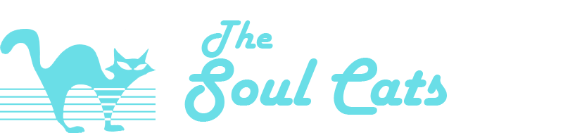 The logo of the Soul Cats band, a black cat with an overlay of guitar strings with the text 'The Soul Cats Band' above it.